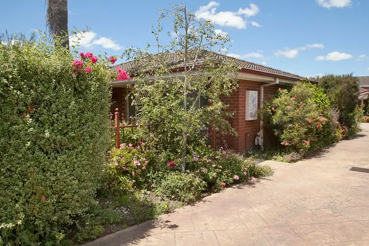 Main view of Homely unit listing, 1/42 Herbert Street, Dandenong VIC 3175