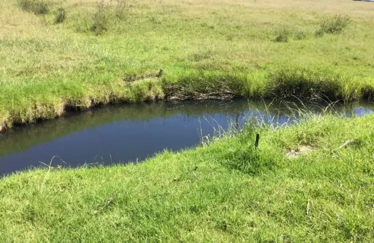 Third view of Homely rural property listing, 4925 Clarence Town Road, Dungog NSW 2420