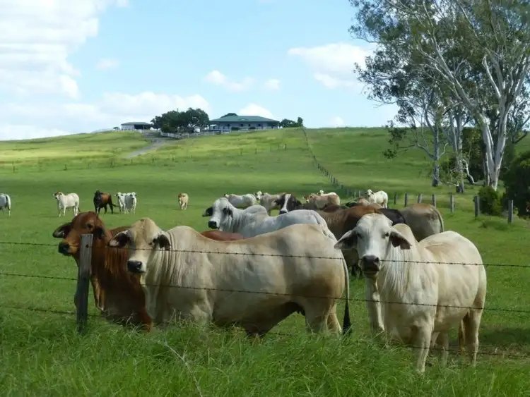 Third view of Homely rural property listing, LOT 667 NORTH DALLARNIL ROAD, Dallarnil QLD 4621