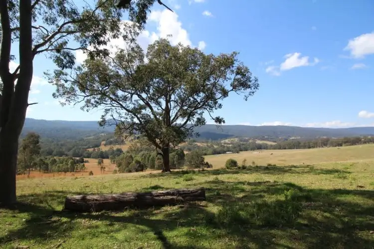Third view of Homely rural property listing, 1524 Chichester Dam Road, Dungog NSW 2420