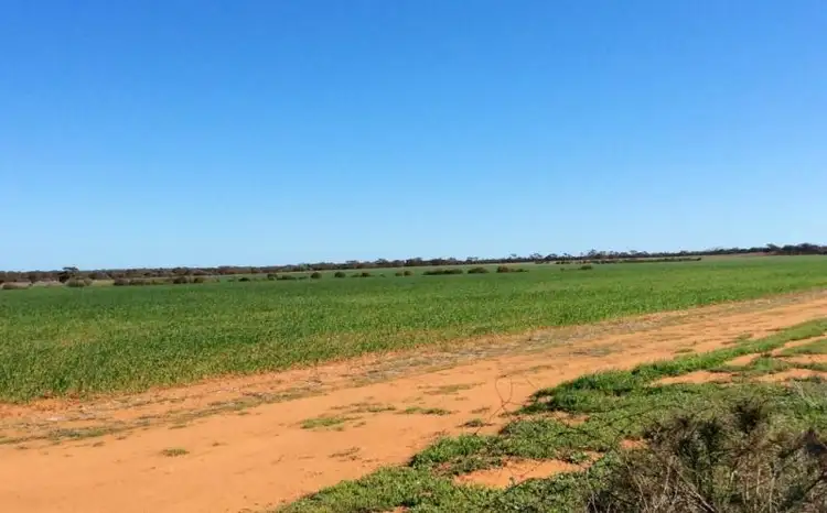 Second view of Homely land listing, LOT 14330 Davis Road, Nungarin WA 6490