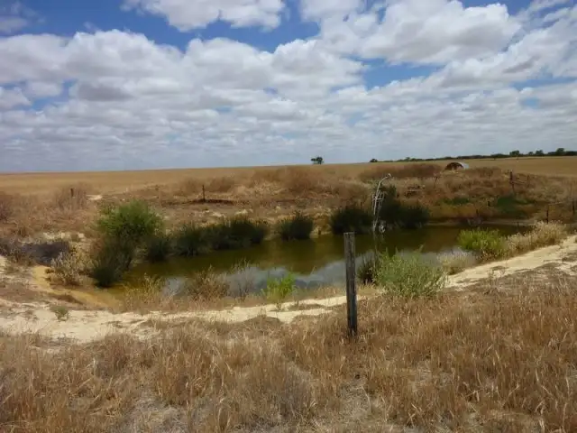 Main view of Homely rural property listing, 20053 Hills Road, Cunderdin WA 6407