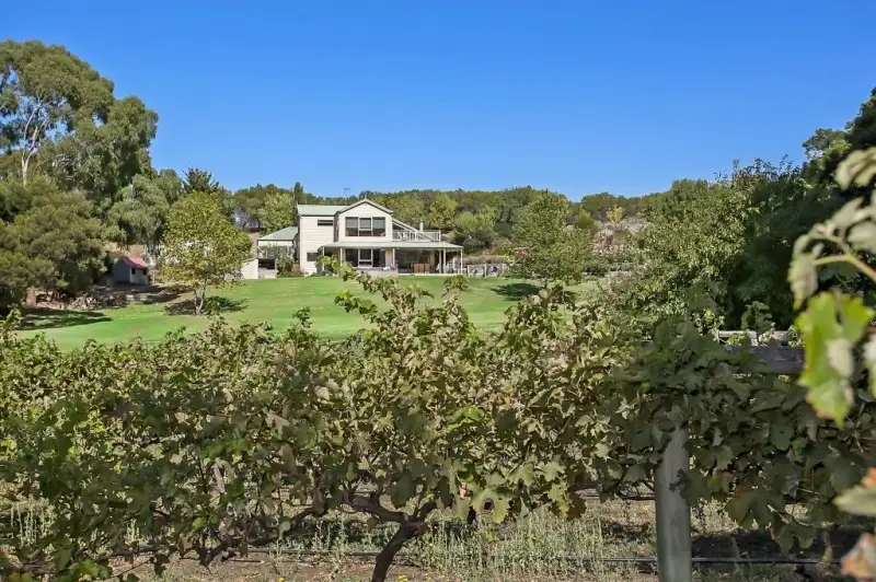 Main view of Homely house listing, 99 Merri View Road, Woodford VIC 3281