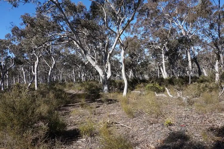 Main view of Homely land listing, 180 Nerrimunga Creek Road, Windellama NSW 2580