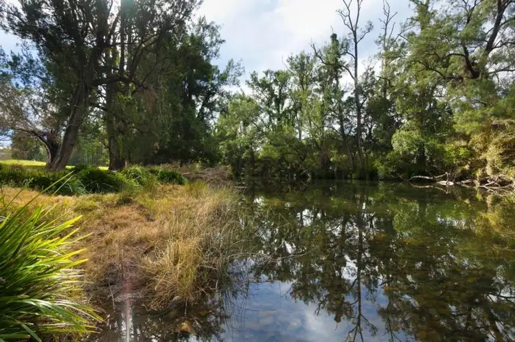 Third view of Homely rural property listing, 1295 Chichester Dam Road, Dungog NSW 2420