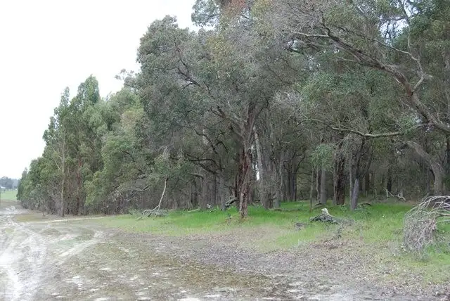Third view of Homely rural property listing, Lot 23 Morande Road, Narrikup WA 6326