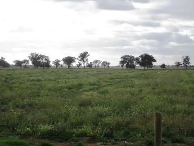 Second view of Homely land listing, LOT 4, 00 Acacia Place, Moama NSW 2731