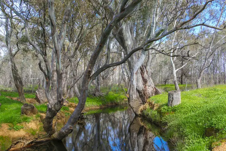 Third view of Homely land listing, LOT 1, 1 Bowles Road, Strathfieldsaye VIC 3551