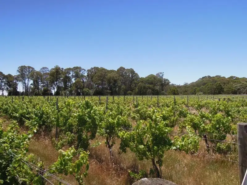 Main view of Homely rural property listing, 4830 Mansfield Whitfield Road, Whitlands VIC 3678