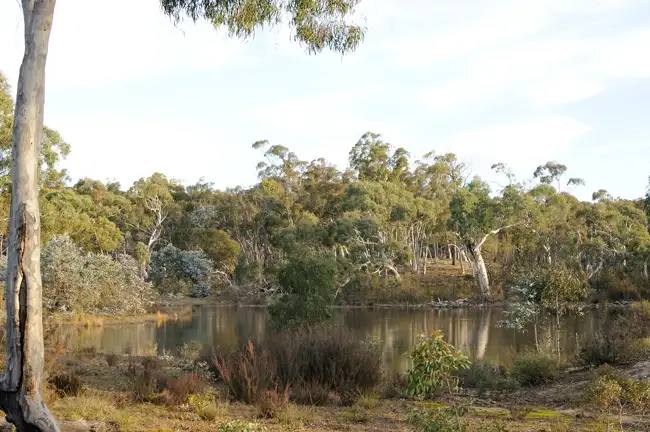 Second view of Homely rural property listing, 238 Wolgon Road, Windellama NSW 2580