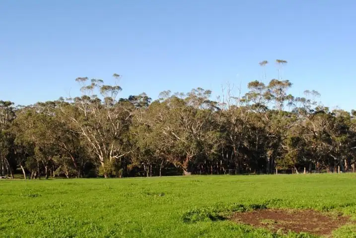Fifth view of Homely land listing, 82 Berrys Road, Portland VIC 3305