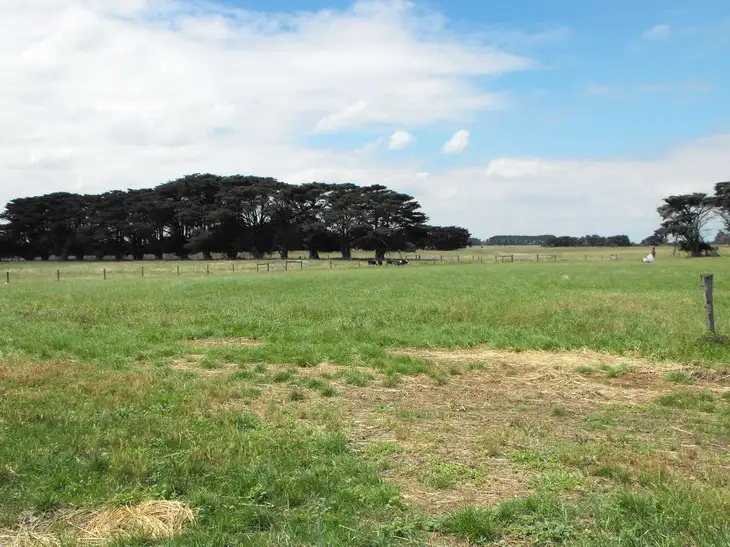 Seventh view of Homely rural property listing, 48 Andersons Road, Denison VIC 3858