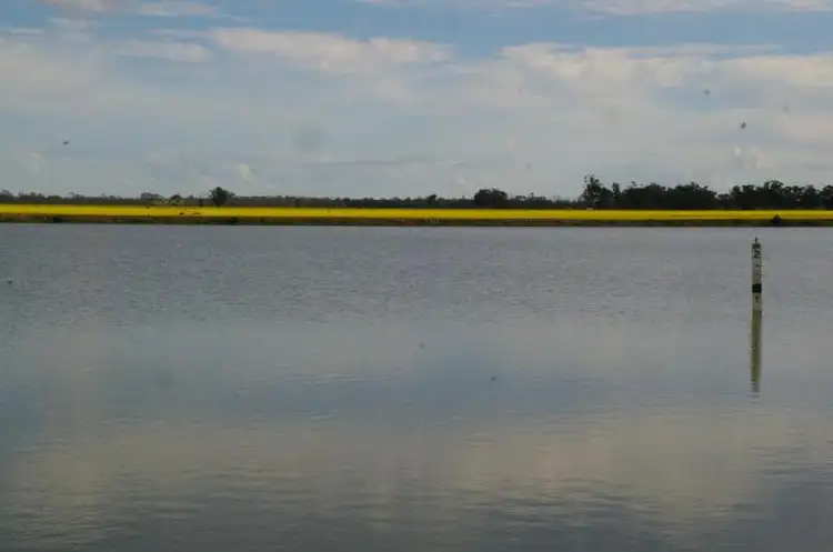 Fifth view of Homely rural property listing, TUPPAL ROAD, Tocumwal NSW 2714