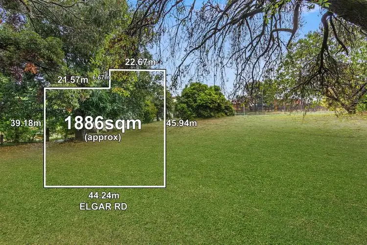 Fourth view of Homely house listing, 341 Elgar Road, Surrey Hills VIC 3127