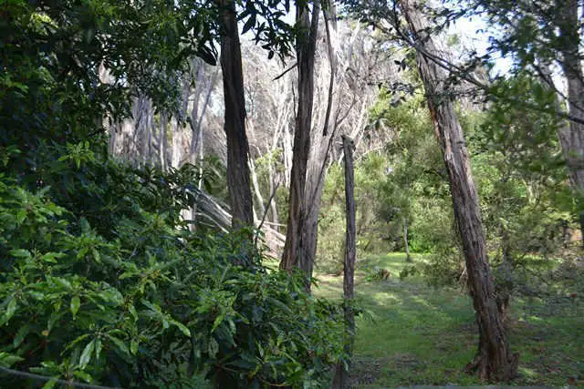 223 Melbourne Road, Rye VIC 3941