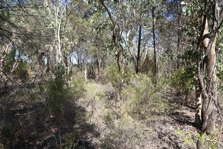 Seventh view of Homely land listing, 191 Whiskey Gully Road, Stanthorpe QLD 4380
