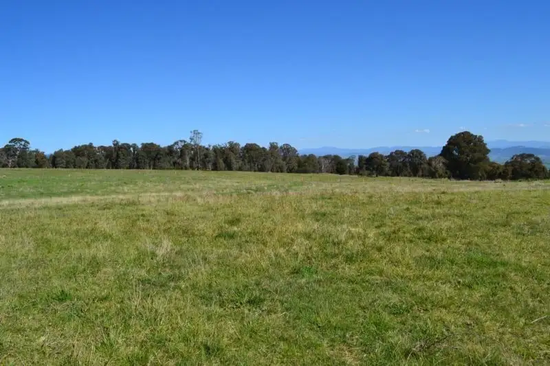 Main view of Homely rural property listing, LOT 13, 146 Ambrose Drive, Mansfield VIC 3722