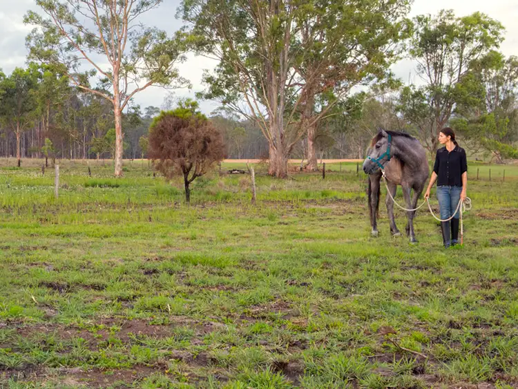 Sixth view of Homely land listing, 110 Evergreen Drive, Stockleigh QLD 4280