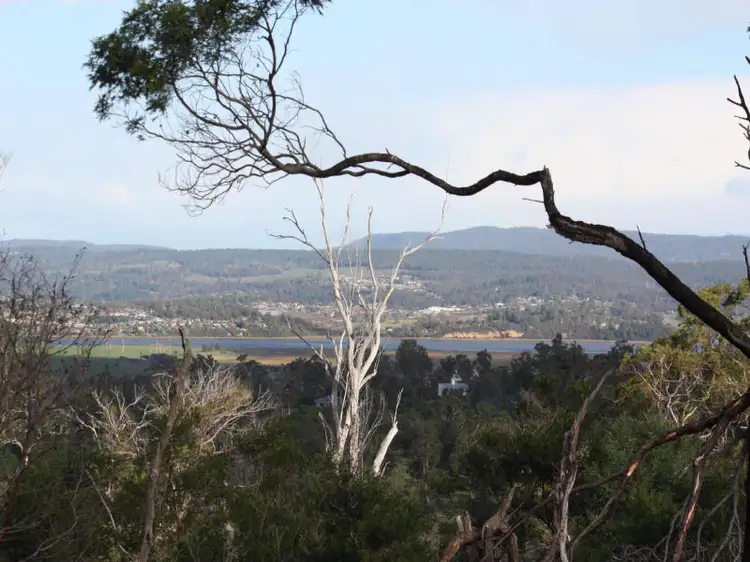 Main view of Homely land listing, 1907 East Tamar Highway, Dilston TAS 7252