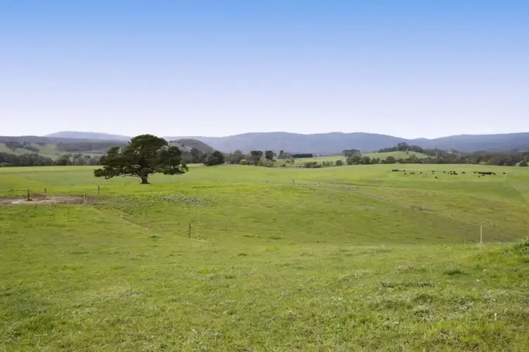 Third view of Homely rural property listing, 4175 Melba Highway, Glenburn VIC 3717