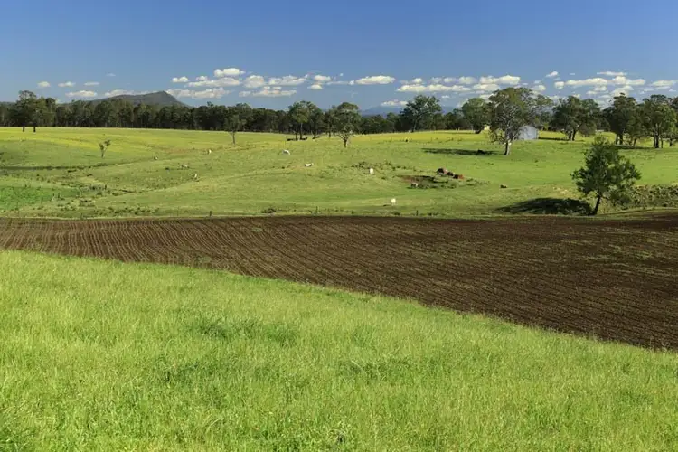 Sixth view of Homely rural property listing, 372 Gresford Road, Paterson NSW 2421