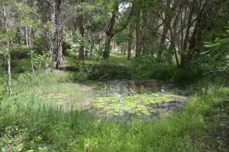 Second view of Homely rural property listing, 80 BlueGum Drive, Wonglepong QLD 4275