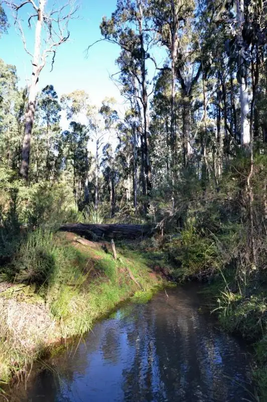 Seventh view of Homely land listing, LOT 9 & 10 Cambatong Road, Tolmie VIC 3723