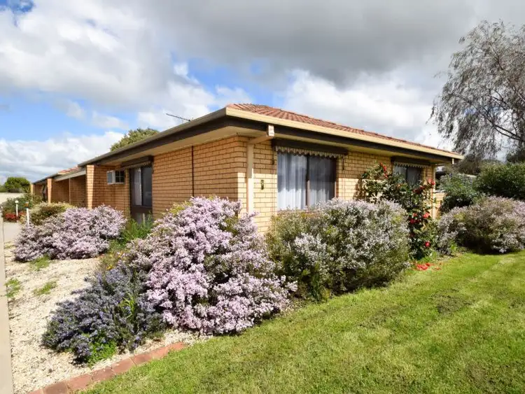 Main view of Homely unit listing, 1/1-3 Teague Street, Wangaratta VIC 3677