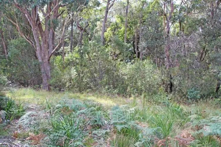 Third view of Homely land listing, 131 Burralow Road, Kurrajong Heights NSW 2758