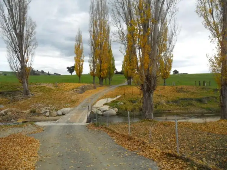 Seventh view of Homely rural property listing, 476 Abbey Collins Road, Biala NSW 2581