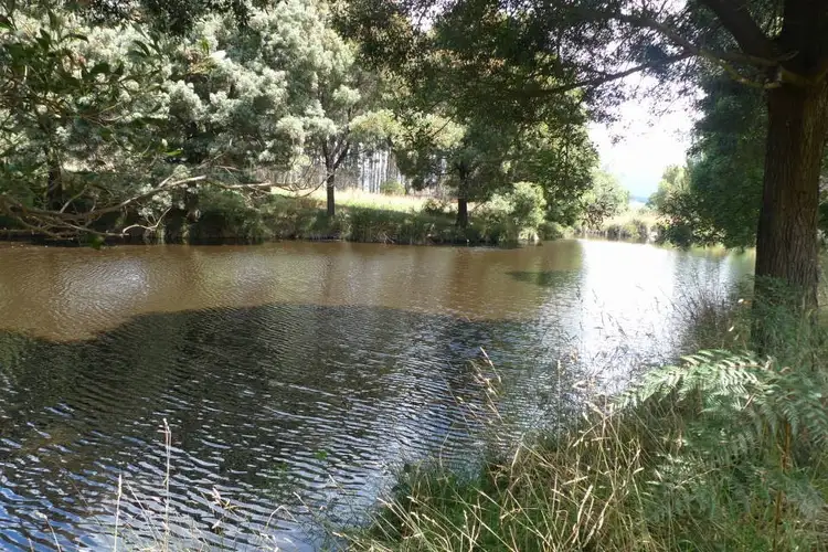 Sixth view of Homely house listing, 194 Pennells Road, Scottsdale TAS 7260