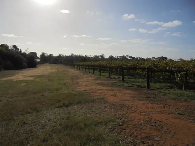 Sixth view of Homely rural property listing, 59B Murray Valley Highway, Robinvale VIC 3549