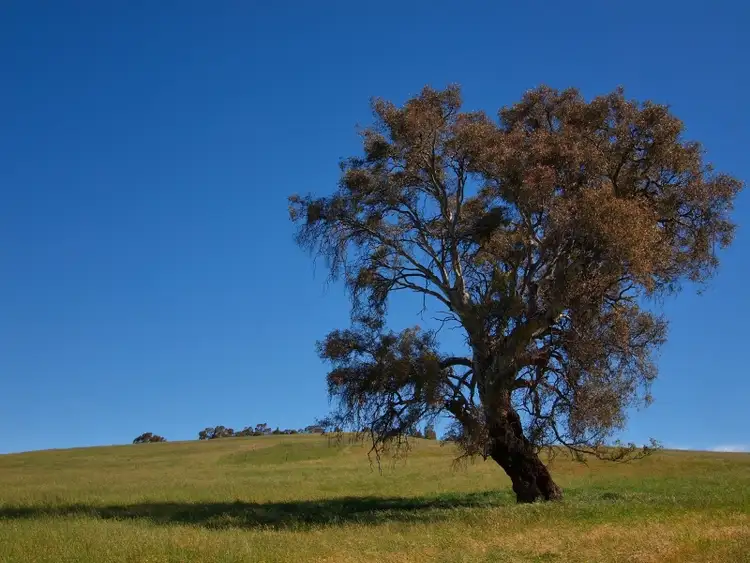 Sixth view of Homely house listing, 221 Gladigau Road, Mount Torrens SA 5244