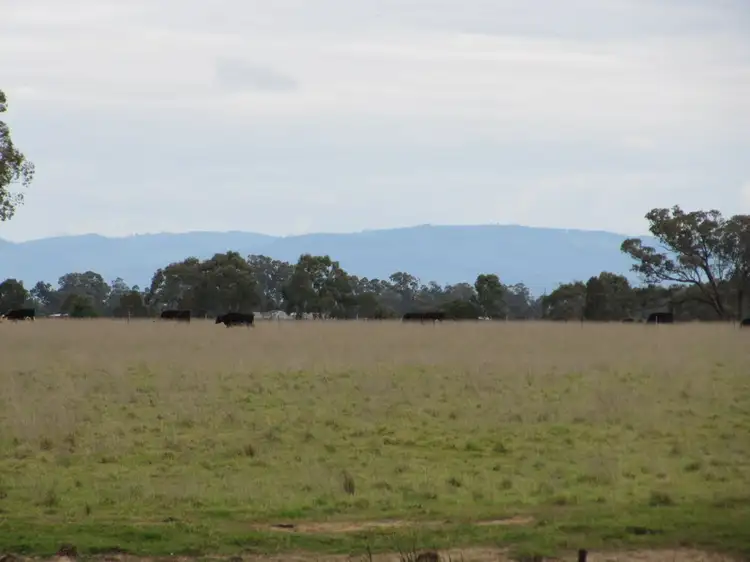 Fifth view of Homely rural property listing, 109G Mockridge Lane, Toongabbie VIC 3856