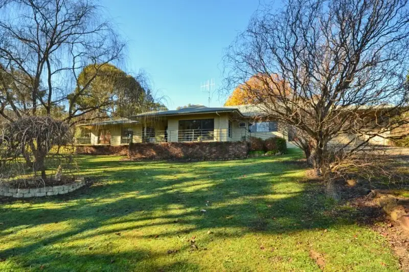 Main view of Homely house listing, 185 Banumum Road, Mansfield VIC 3722