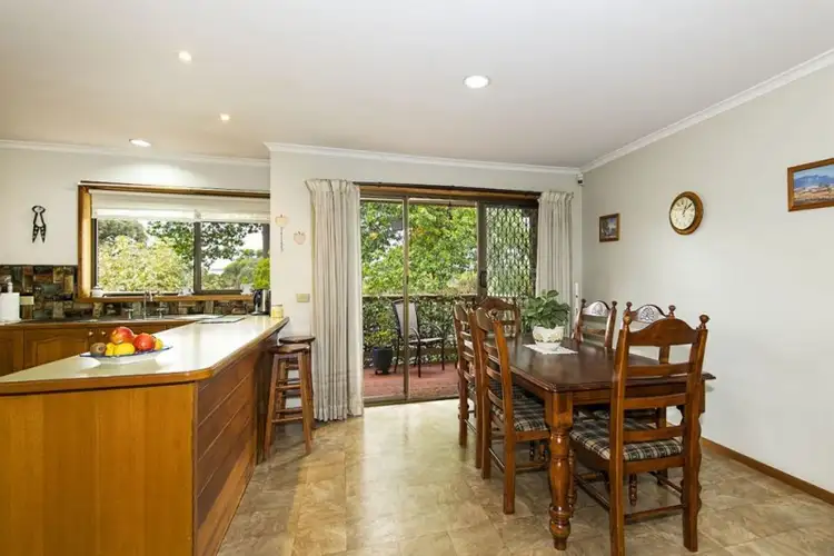 Fifth view of Homely house listing, 19 Clyde Street, Diamond Creek VIC 3089