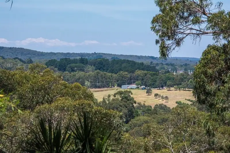 Main view of Homely house listing, 67 Temple Road, Selby VIC 3159