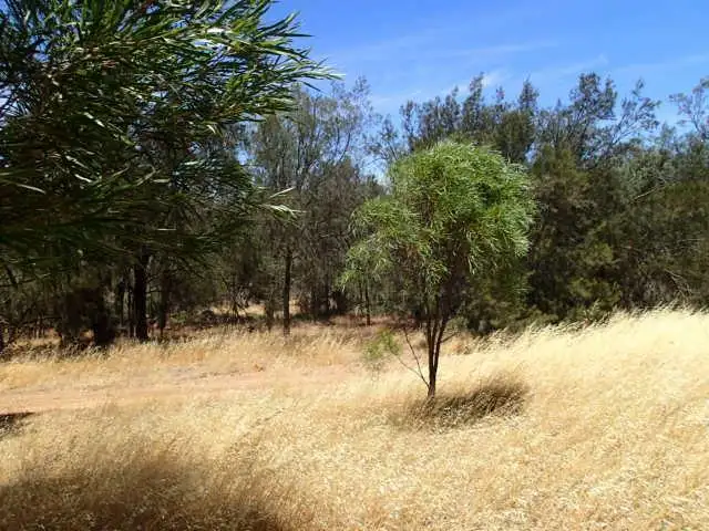 Fourth view of Homely land listing, 29 Hamersley Street, Beverley WA 6304