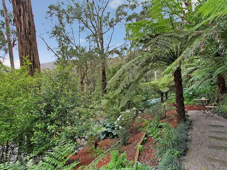 Seventh view of Homely house listing, 1444 Mountain Highway, The Basin VIC 3154