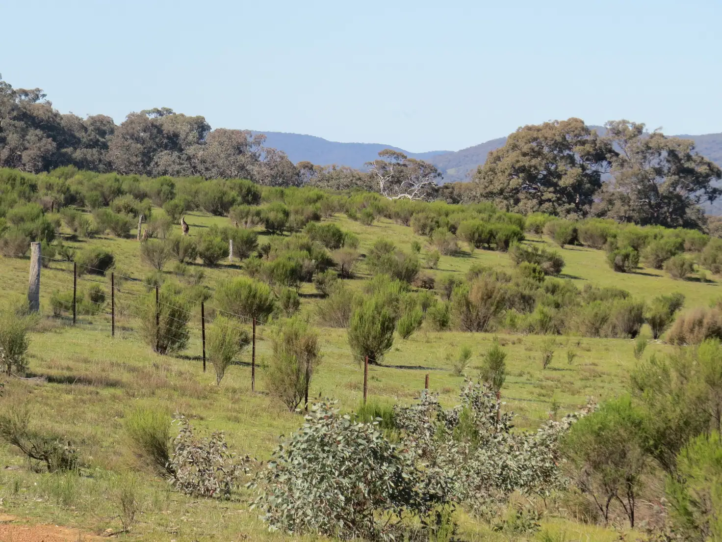 Main view of Homely land listing, LOT 2C HYLANDS LANE, Heathcote VIC 3523