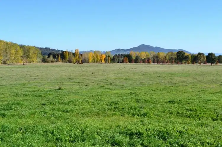 Main view of Homely rural property listing, 245 Wairere Road, Boorolite VIC 3723