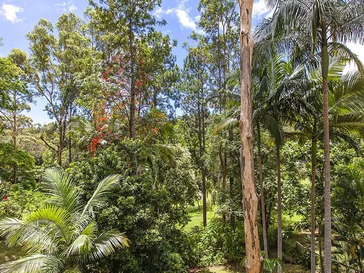 Fourth view of Homely house listing, 14 Edwin Road, Buderim QLD 4556