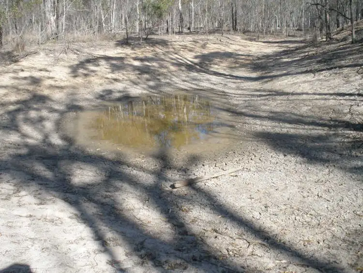 Fourth view of Homely house listing, 5 Coverty Road, Coverty QLD 4613