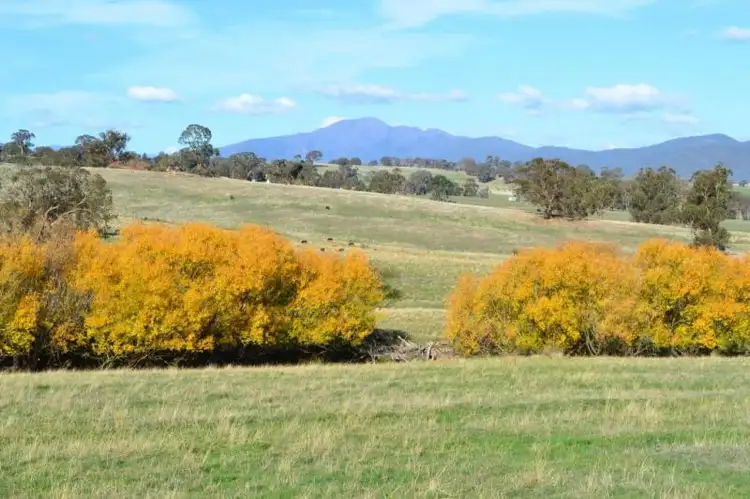 Main view of Homely rural property listing, LOT 47B, 150 Gonzaga Lane, Merrijig VIC 3723