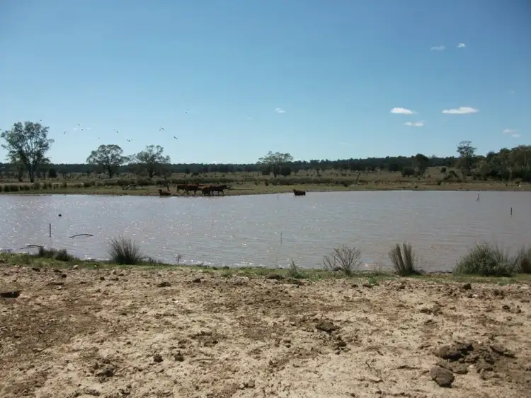Seventh view of Homely rural property listing, 226 Wambianna Rd, Wyaga QLD 4390