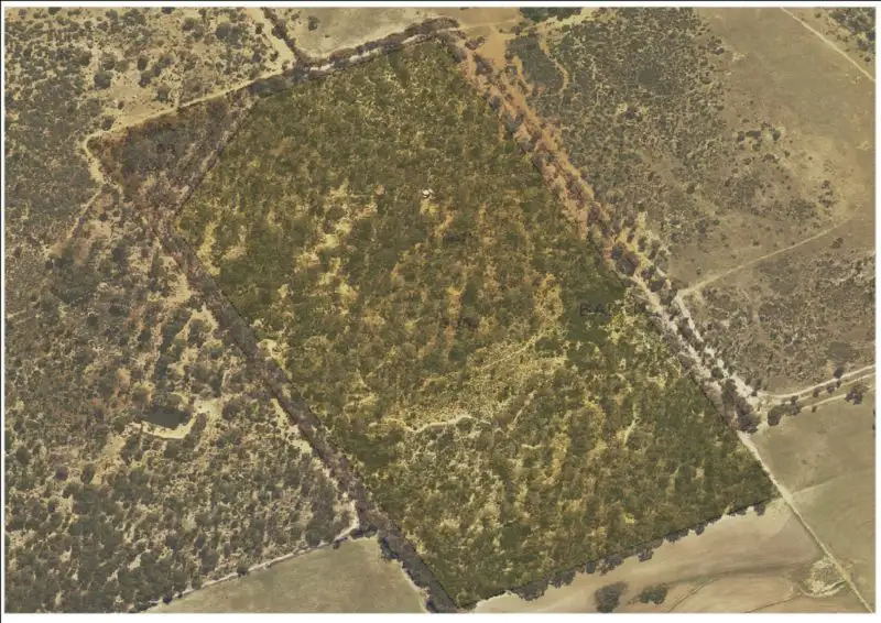 Main view of Homely rural property listing, LOT 13954 MINCHIN ROAD, Quairading WA 6383