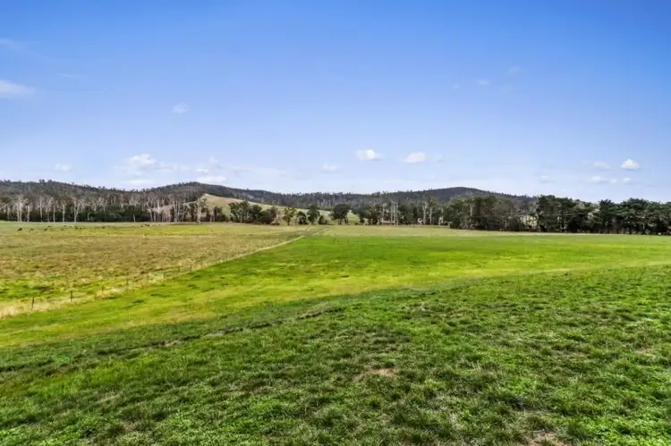 Fourth view of Homely rural property listing, 3635 Melba Highway, Glenburn VIC 3717