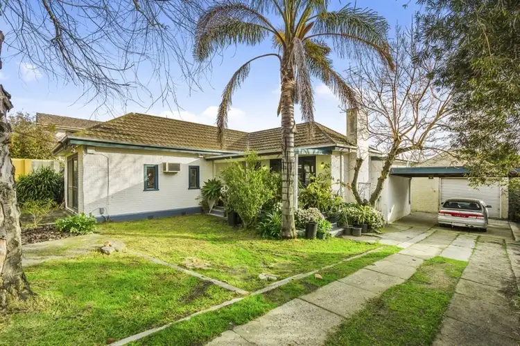 Second view of Homely house listing, 77 Middleborough Road, Burwood VIC 3125
