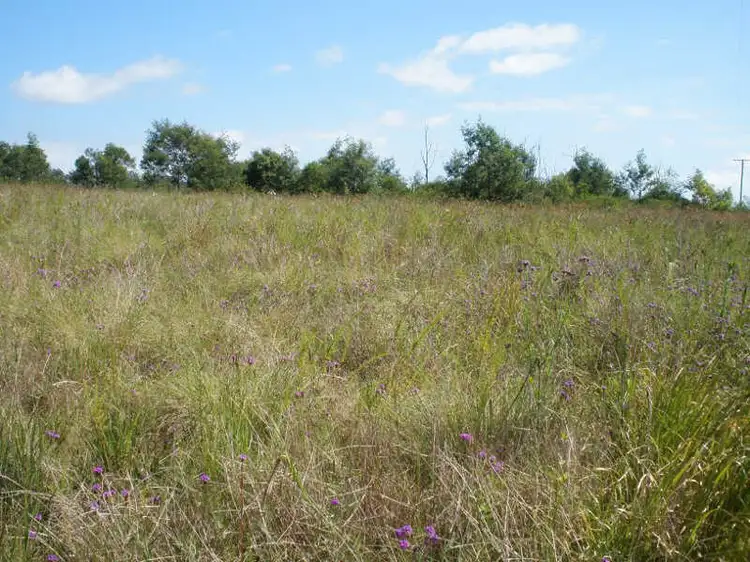 Main view of Homely land listing, Lot 79 Lilian Avenue, Ellesmere QLD 4610