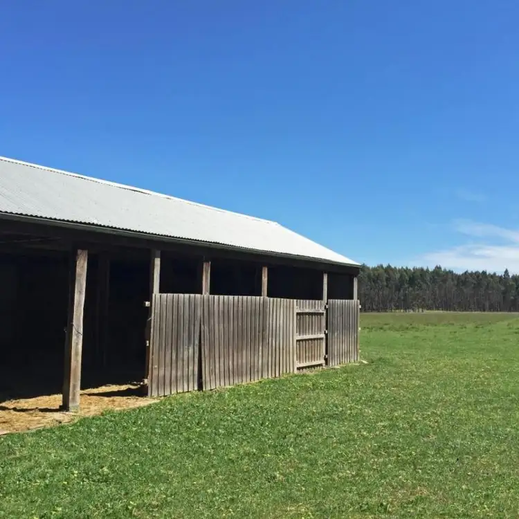 Fourth view of Homely rural property listing, 3369 Port-Casterton Rd, Digby VIC 3309